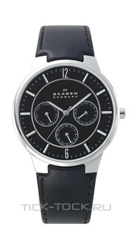  Skagen 331XLSLB