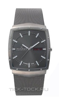  Skagen 396LTTM