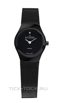  Skagen 432SBSB