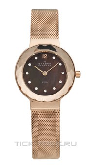  Skagen 456SRR1