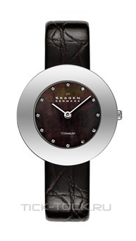  Skagen 569STTLB4