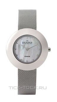  Skagen 569STW