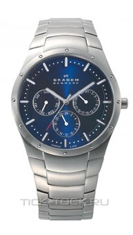  Skagen 596XLTXN