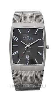  Skagen 851LTTM