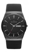  Skagen SKW6006