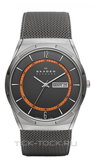  Skagen SKW6007