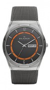  Skagen SKW6007