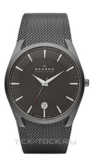  Skagen SKW6010