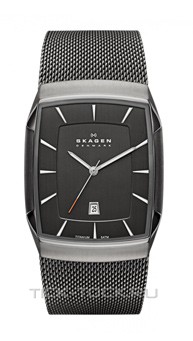  Skagen SKW6012