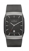  Skagen SKW6012