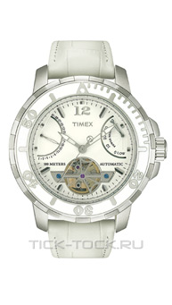  Timex T2M514